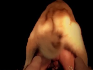 Passivo sendo 'ARRASTADO' no Mato por cachorro Grande