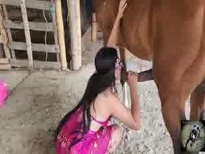 ava fthp (( horse play))