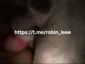 Animal sex gay
