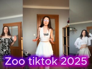 PMV tiktok