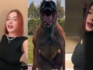 PMV containment (tiktok)