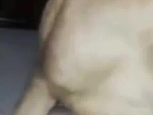 Me and my favorites dog