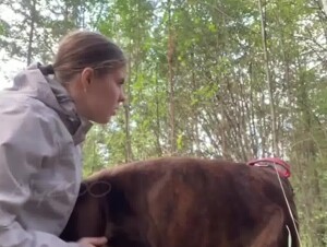 19yo teen blowjob addiction 4