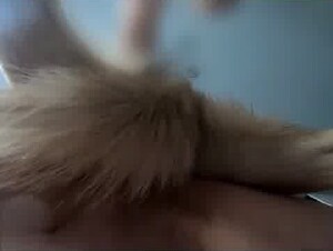 Wiki my pup Always knows the right spot to hit when pounding my pussy🥵…