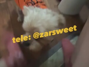 New pup eating these holes up good zarsweet