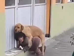 Homeless woman fucking dog on street