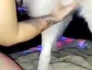 pretty girl blows a dog