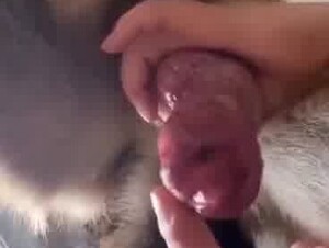 MILKING THAT DOG DICK