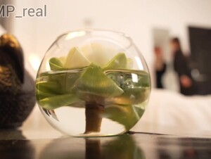 Ivana - Project GrindHound - Chapter Two