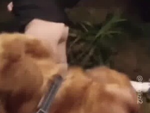 teen girl public dog sex