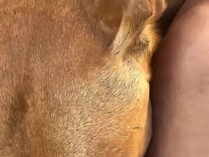 MY DOG IS A GOOD SUCKER ,WATCH😋💦💦🐶