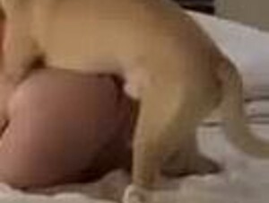 GIRLFRIEND GETS CAUGHT DOING IT