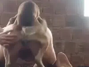 My dog fuck man and cum  inside him in my farm house