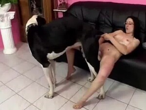 Dogs sex videos