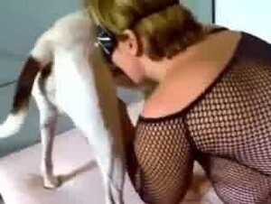 Dog fudendo de quatro