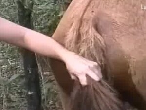 Mature slut licks pussy horse