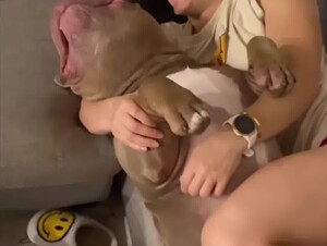 Imagine how this monstrous pitbull fuck her