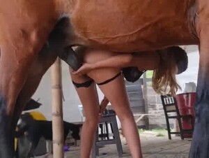 How Big Is Your Bell