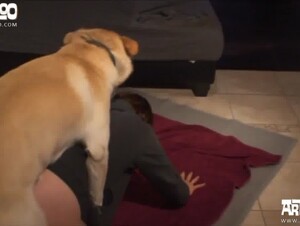 Kerstin fuck dog pony and pig