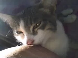 Thumb 9