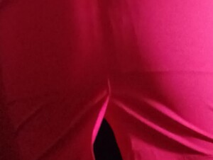 my ass