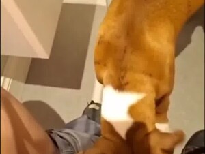 licking & face fucking