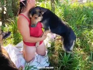 Analina - Royal place