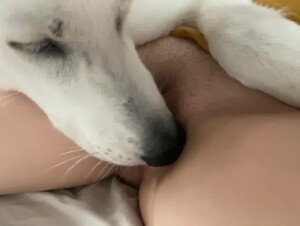 Thumb 6