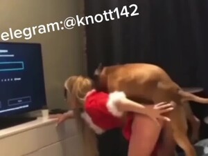Exclusive dog sex videos