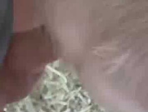 Thumb 6