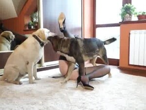 Yasmin - Mating and Feeding