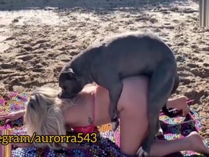 Amazing scènes on the bitch