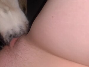Dog eats her pussy