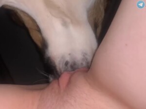 Thumb 8
