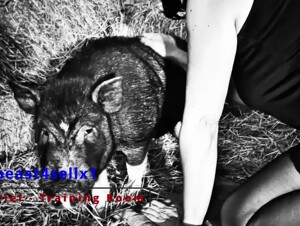 Ariel - Training Room Teaser