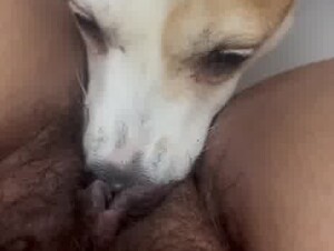 Not sure I've had anyone eat it better than he did