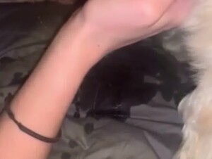 Girl Enjoys Giving her Dog Blowjob