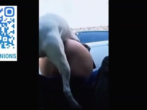 Public dogfuck on parking lot