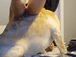 Dog Licking pussy teen girl