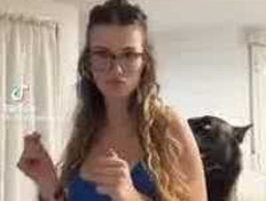 The dog wants to try again