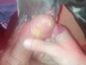 Good girl getting a snack