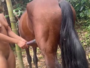 Horse fest coral mia part 2 – isabela produtions