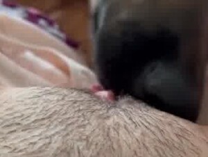 Pov licking