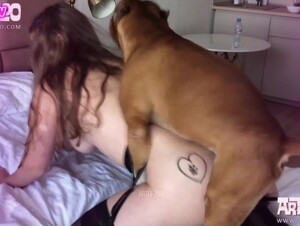 Natti Natasha - Tu Perrota 🐾[Pmv][zoo versión]