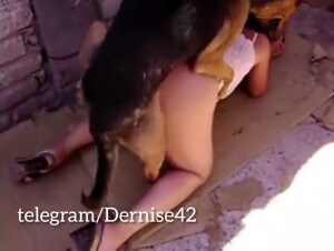 Dog knots mom on the balcony