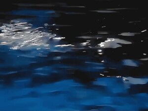 l'arbre sous la mer - complete dolphin part