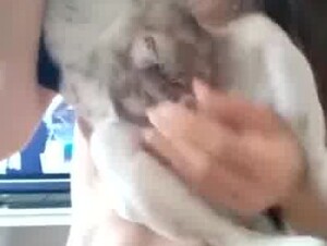 she makes her dog lick her pussy