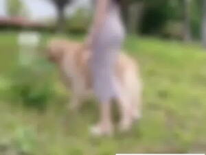 Walking dog then back to home fuck