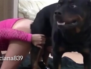 Zoophilia collection