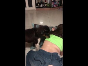 My dog first then mBF PT three